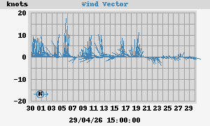 Wind Vector